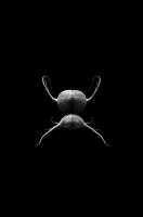 © Cecilia Manzanares Vargas, Mexico, Shortlist, Latin America Professional Award, 2020 Sony World Photography Awards
