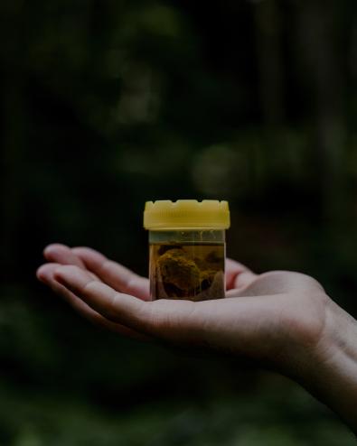 © Kasia Strek, Poland, Winner, Sustainability Prize, 2025 Sony World Photography Awards