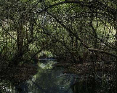 © Kasia Strek, Poland, Winner, Sustainability Prize, 2025 Sony World Photography Awards