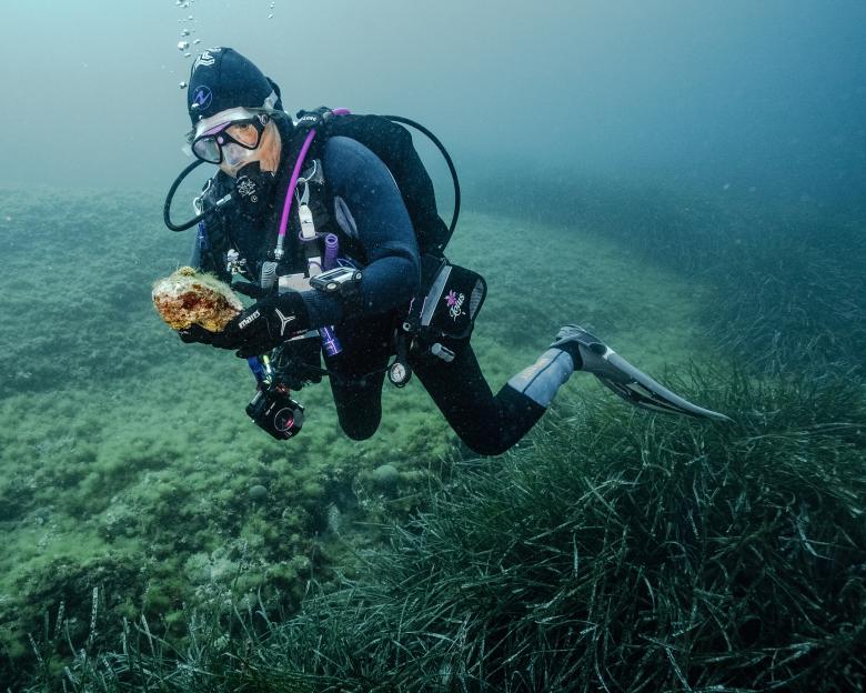 © Kasia Strek, Poland, Winner, Sustainability Prize, 2025 Sony World Photography Awards